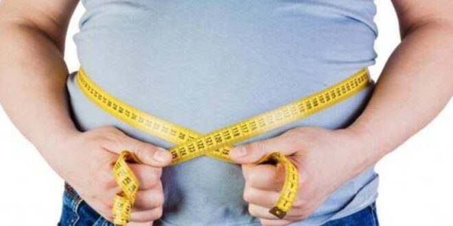 الدهون الحشوية: أين تتواجد وخطورتها
