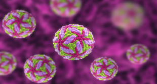 "فيروس نادر" يثير الرعب مع ارتفاع إصابات أمراض الدماغ القاتلة في الولايات المتحدة