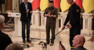 كلب أوكراني يهاجم رئيس وزراء كندا بحضور زيلينسكي! (فيديو)
