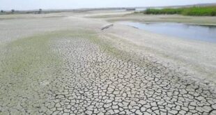 قطع تركيا لمياه الفرات يتسبب بكوارث بيئية وأمراض في دير الزور