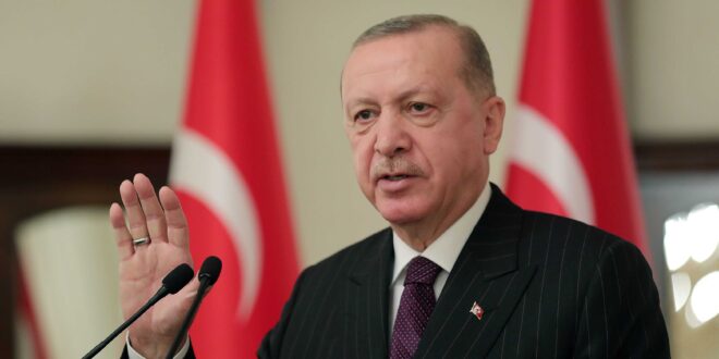 مكاسب أردوغان من الأزمة الأوكرانية: من السويد إلى سوريا