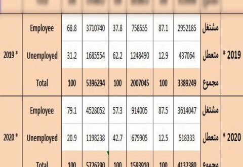 كيف انخفض معدل البطالة في العام الذي جمع كل مقومات التدهور الاقتصادي