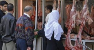 توقعات بارتفاع أسعار اللحوم خلال وقفة العيد