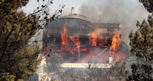 غابات أوروبا تحترق.. البرتغال وكرواتيا وإسبانيا وفرنسا تصارع للسيطرة على الوضع