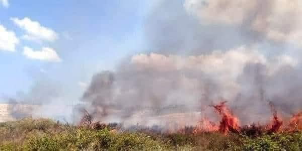 إطفاء حريق في غابة ضخمة في طرطوس