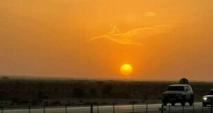 السعودية.. صورة طفل على ظهر طير فوق الرياض تشغل مواقع التواصل الإجتماعي