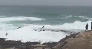أمواج البحر تسحب عائلة مكونة من 5 أشخاص في عمان (فيديو)