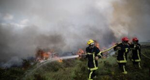 أكثر من 1700 وفاة في إسبانيا والبرتغال بسبب موجة الحر