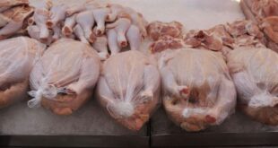 في حالة نادرة: الفروج أغلى من اللحم في السوق السورية