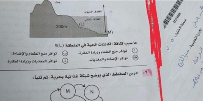 صاحبة "أغرب واقعة غش" تروي ما حصل معها!