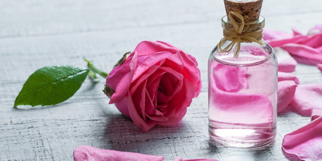 كيفية صنع ماء الورد بطريقة سهلة في المنزل