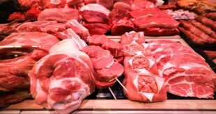 الدمشقيون يخفضون استهلاك اللحوم الى النصف