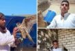نهاية مأساوية لثلاثة مصريين خرجوا للصيد بالصحراء (شاهد)