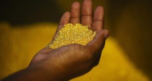 الإمارات تشتري كل إنتاج السودان من الذهب خلال ستة أشهر