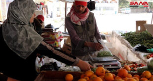 سوريا.. ضربية على استيراد الموز لدعم تسويق الحمضيات