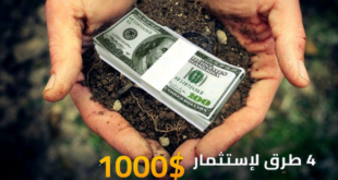 4 طرق سريعة لكسب المال باستثمار 1000 دولار