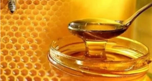 هل يسبب العسل ارتفاع السكر في الدم؟