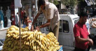 إلزام التجّار في دمشق ببيع الموز والتمور بسعر الكلفة