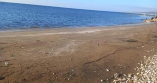 بعد الزلزال.. جدل حول المد والجزر في الساحل السوري وخبير وضح