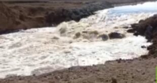 سوريا.. جريان نهر الخابور في الحسكة بعد 7 سنوات انقطاع من قبل الجانب التركي (فيديو)