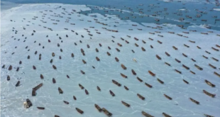 شاهد مئات قوارب الصيد متجمدة وعالقة ببحر الصين