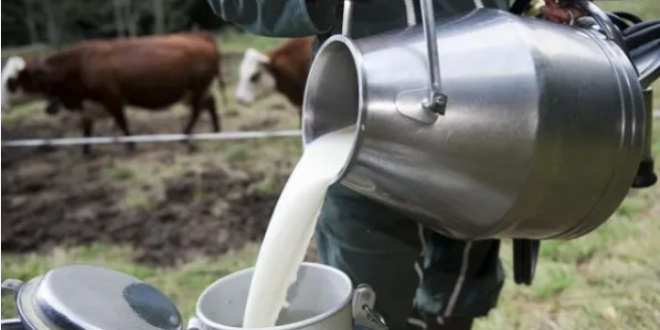 الغلاء يطال الحليب ومشتقاته بدمشق:كيلو اللبنة بـ 14 ألف ليرة